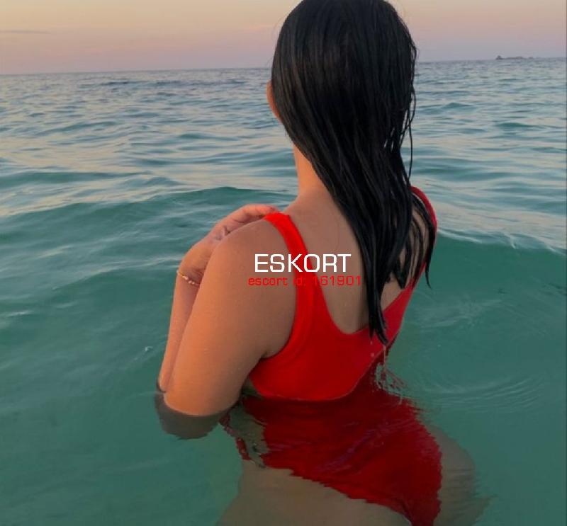 Escort Monika, 38 տարիներ - Main Photo