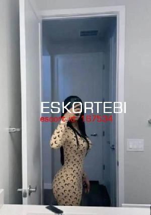 Escort Nina nina, 26 տարիներ, Rustavi, շարտավայի պող, , Georga, , photo 4